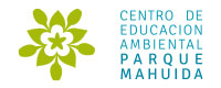 CEA