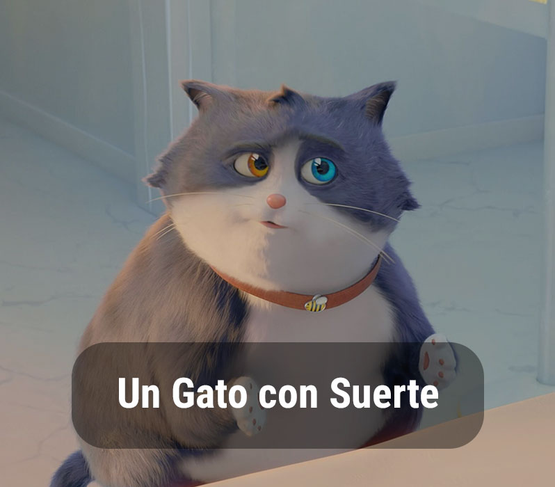 Un Gato con Suerte