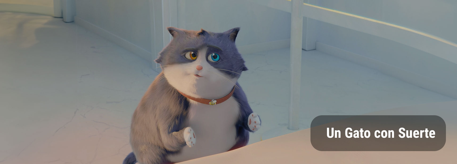 Un Gato con Suerte