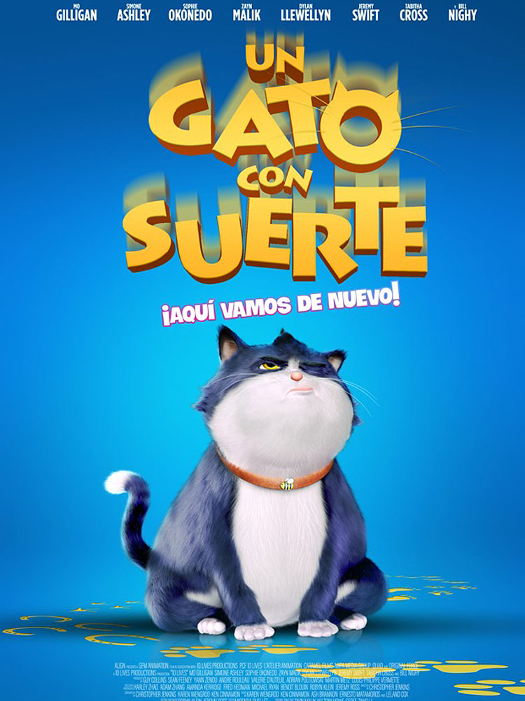 UN GATO CON SUERTE