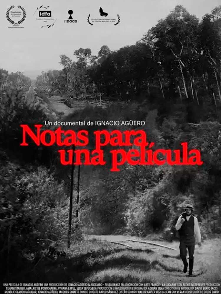 NOTAS PARA UNA PELÍCULA