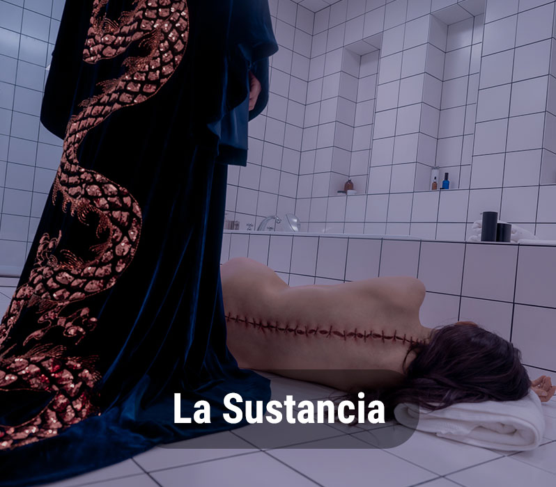 La Sustancia