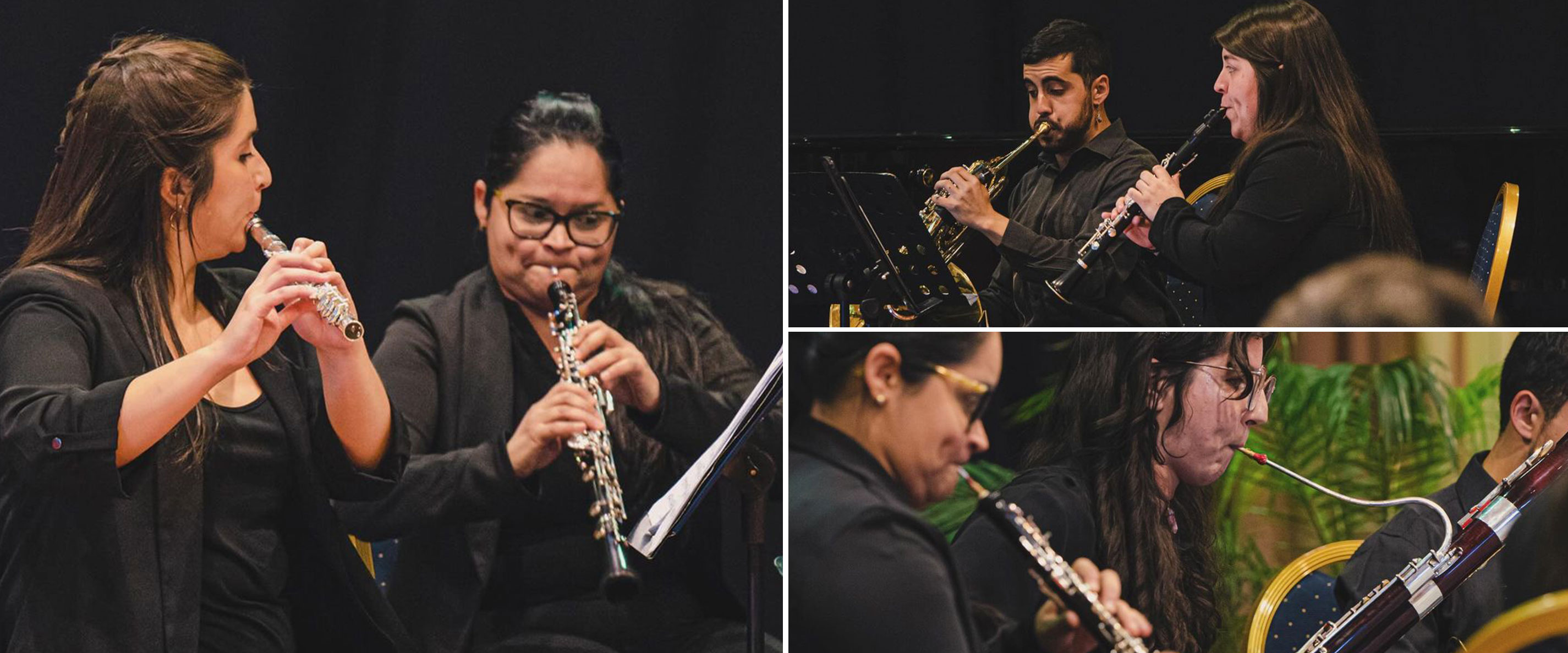 Concierto Quinteto Ventum