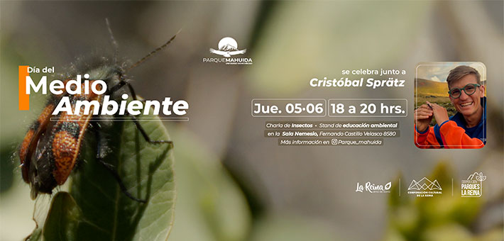 Charla sobre Insectos